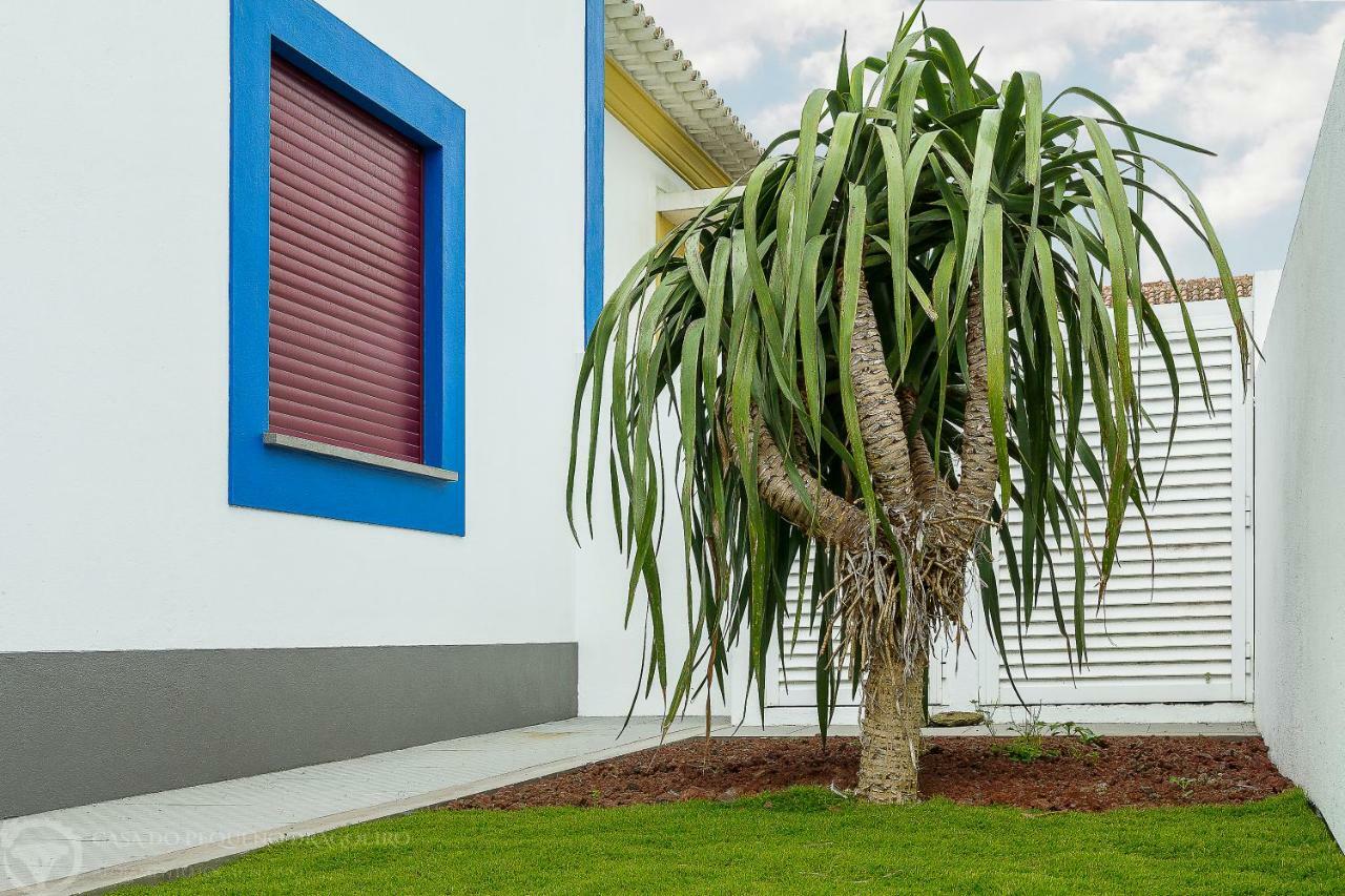 Vila Casa Do Pequeno Dragoeiro Angra do Heroísmo Exteriér fotografie