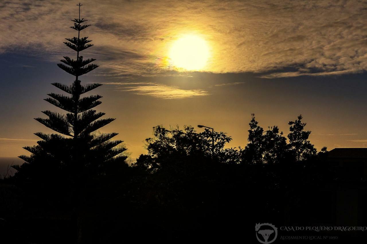 Vila Casa Do Pequeno Dragoeiro Angra do Heroísmo Exteriér fotografie